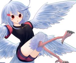 Rule 34 | 1girl, ahoge, animal feet, bird legs, black shirt, blouse, blue feathers, blue hair, feathered wings, feathers, female focus, hair between eyes, hair ornament, hairclip, harpy, monster girl, original, shirt, solo, tokei ga taba, transparent background, winged arms, wings