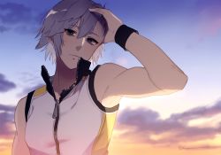 Rule 34 | 1boy, arm up, armpits, bad id, bad pixiv id, biceps, blue eyes, cloud, cloudy sky, expressionless, eyelashes, grey hair, hakei, hand in own hair, kingdom hearts, kingdom hearts 3d dream drop distance, looking at viewer, male focus, muscular, muscular male, outdoors, pale skin, pectorals, riku (kingdom hearts), short hair, signature, silver hair, sky, sleeveless, solo