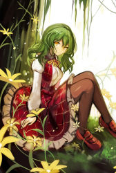 Rule 34 | 1girl, absurdres, bad id, bad nicoseiga id, breasts, brown pantyhose, commentary request, flower, fuepo, grass, green hair, hair between eyes, highres, juliet sleeves, kazami yuuka, knees up, long sleeves, looking at viewer, mary janes, medium breasts, neck ribbon, pantyhose, petals, plaid, plaid skirt, plaid vest, puffy sleeves, red footwear, red skirt, red vest, ribbon, shirt, shoes, short hair, skirt, skirt set, solo, touhou, vest, white shirt, yellow eyes, yellow flower, yellow ribbon