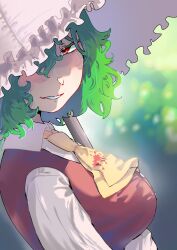 Rule 34 | 1girl, ascot, blood, blood stain, blurry, blurry background, blush, breasts, commentary request, from side, green hair, grin, hair between eyes, hair over one eye, highres, kazami yuuka, large breasts, long bangs, long sleeves, looking at viewer, looking to the side, parasol, red eyes, red vest, shaded face, shirt, short hair, smile, sobayu to tenpura, solo, touhou, umbrella, upper body, vest, wavy hair, white shirt, white umbrella, yellow ascot