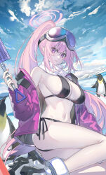 Rule 34 | 1girl, bikini, bird, black bikini, blue archive, breasts, down jacket, echj, eimi (blue archive), eimi (swimsuit) (blue archive), goggles, goggles on head, halo, highres, holding, holding shovel, jacket, large breasts, long hair, off shoulder, official alternate costume, open clothes, open jacket, padded jacket, penguin, pink eyes, pink hair, pink halo, pink jacket, ponytail, scarf, seiza, shovel, side-tie bikini bottom, sideboob, sitting, ski goggles, swimsuit, white scarf