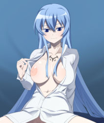 Rule 34 | 10s, 1girl, absurdres, akame ga kill!, blue eyes, blue hair, blush, breast slip, breasts, caryo, collarbone, dress shirt, esdeath, groin, highres, large breasts, leaning back, long hair, matching hair/eyes, naked shirt, nanashino, navel, nipples, no panties, one breast out, shirt, smile, solo, tattoo, unbuttoned, very long hair