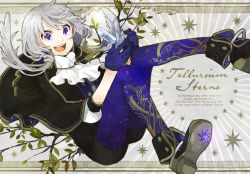 Rule 34 | 1girl, :d, ankle boots, ascot, blue pantyhose, boots, buzz (moi), cape, character name, crystal, gloves, head wings, jewelry, long hair, low twintails, necklace, open mouth, pantyhose, pixiv fantasia, pixiv fantasia sword regalia, print pantyhose, purple eyes, silver hair, smile, solo, tellurium sterne, twintails, wings