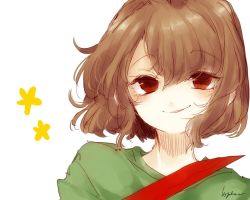 Rule 34 | androgynous, bad id, bad twitter id, blood, bloody weapon, blush, brown eyes, brown hair, chara (undertale), closed mouth, flat chest, flower (symbol), gender request, green shirt, knife, koyashaka, looking at viewer, parted lips, shirt, signature, simple background, smirk, solo, spoilers, sweater, undertale, upper body, weapon, white background