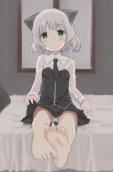 Rule 34 | 1girl, animal ears, bad id, bad pixiv id, barefoot, bed, blush, cat ears, clothes lift, dust box, feet, feet together, green eyes, grey hair, necktie, no legwear, panties, sanya v. litvyak, short hair, sitting, skirt, skirt lift, soles, solo, spread toes, strike witches, toes, underwear, upskirt, wet, white panties, world witches series