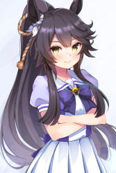 Rule 34 | 1girl, animal ears, black hair, bow, brown eyes, closed mouth, commentary request, crossed arms, grey background, high ponytail, highres, horse ears, long hair, looking at viewer, narita brian (umamusume), pilokey, pleated skirt, ponytail, puffy short sleeves, puffy sleeves, purple bow, purple shirt, school uniform, shirt, short sleeves, skirt, smile, solo, tracen school uniform, umamusume, very long hair, white skirt