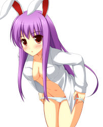 Rule 34 | 1girl, animal ears, ash (pixiv53802), breasts, rabbit ears, cleavage, dress shirt, female focus, long hair, no bra, no pants, open clothes, open shirt, panties, panty pull, purple hair, red eyes, reisen udongein inaba, shirt, solo, touhou, underwear, undressing, very long hair
