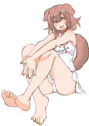 Rule 34 | 1girl, absurdres, animal ears, artist request, bare shoulders, blush, braid, brown eyes, brown hair, collar, dog ears, dog girl, dog tail, dress, feet, hair ornament, hairclip, highres, hololive, inugami korone, nail polish, open mouth, panties, sitting, sleeveless, sleeveless dress, solo, tail, underwear, virtual youtuber, white background, white panties
