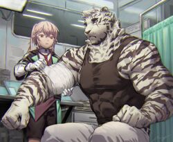 Rule 34 | 2boys, animal ears, ansel (arknights), applying bandages, arknights, bandaged arm, bandages, bara, character request, covered abs, furry, furry male, gentle2nd, infirmary, large hands, large pectorals, mountain (arknights), multiple boys, muscular, muscular male, pants, pectorals, pink hair, scar, scar across eye, scar on face, short hair, sidepec, tiger boy, tiger ears, white fur, white pants
