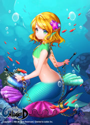 Rule 34 | 1girl, aile (crossroads), blonde hair, breasts, bubble, chain, character request, drum, drumsticks, fish, green eyes, instrument, mermaid, monster girl, shell, shirt, short hair, short sleeves, small breasts, solo, underwater, unleashed