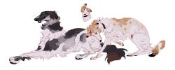 Rule 34 | absurdres, animal, animal focus, borzoi, collar, dog, highres, inset, kibrunka, looking at viewer, lying, no humans, original, simple background, white background