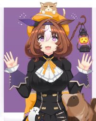 Rule 34 | 1girl, :3, absurdres, ahoge, animal, animal ears, animal on head, ascot, back bow, black dress, bow, brown hair, cat, commentary, dress, ear covers, flying sweatdrops, frilled sleeves, frills, ghost ornament, halloween, halloween costume, hat, high collar, highres, horse ears, horse girl, horse tail, jack-o&#039;-lantern ornament, juliet sleeves, lantern, large bow, long sleeves, looking up, marimo maru, medium hair, meisho doto (dot-o&#039;-lantern) (umamusume), meisho doto (umamusume), multicolored hair, neck ribbon, official alternate costume, on head, open mouth, orange bow, orange hat, orange ribbon, outside border, puffy sleeves, purple background, purple eyes, raccoon, ribbon, simple background, single ear cover, solo, staff, standing, tail, two-tone hair, umamusume, w arms, white ascot, white background, white hair