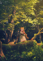 Rule 34 | 1girl, animal, animal ears, bear ears, bear girl, blood, blood on clothes, blood on face, blue eyes, brown hair, dappled sunlight, dress, forest, grass, highres, leaf, log, long hair, long sleeves, looking at viewer, nature, original, outdoors, personification, plant, potg (piotegu), shadow, solo, sunlight, tree, white dress, wide shot