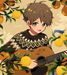 Rule 34 | 1boy, animal, arisa (aren), bird, black eyes, black sweater, blush, branch, brown hair, commentary request, eyes visible through hair, food, fruit, green eyes, guitar, highres, holding, holding guitar, holding instrument, instrument, leaf, lemon, long sleeves, looking at viewer, male focus, messy hair, music, open mouth, orange (fruit), original, playing instrument, short hair, signature, smile, solo, sweater, upper body
