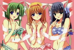 Rule 34 | 00s, 3girls, :d, animal ears, aqua eyes, asymmetrical hair, blue bra, blue eyes, blue hair, blue panties, blush, bow, bow bra, bow panties, bra, breasts, cat ears, cat tail, cleavage, clenched hands, closed mouth, collarbone, finger to mouth, fingernails, frilled bra, frilled panties, frills, front-tie top, fuyou kaede, garter straps, green bra, green eyes, green panties, hair between eyes, hair bow, hair ribbon, hairband, happy, highres, kemonomimi mode, lace, lace-trimmed bra, lace-trimmed panties, lace trim, large breasts, lineup, lingerie, long fingernails, long hair, looking at viewer, medium breasts, multiple girls, navel, nishimata aoi, official art, open mouth, orange hair, panties, parted bangs, pink background, pink bra, pink panties, pointing, purple eyes, really? really!, ribbon, ribbon-trimmed bra, ribbon trim, scan, shigure asa, short hair, shuffle!, side-tie panties, sidelocks, simple background, smile, suzuhira hiro, tail, tail bow, tail ornament, tress ribbon, underwear, underwear only, upper body, v, white ribbon, yae sakura