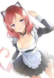Rule 34 | 1girl, animal ears, apron, artist name, bare legs, black collar, black skirt, blush, breasts, cat ears, cat tail, cleavage, clenched hand, collar, collarbone, dress, female focus, frilled dress, frills, hair between eyes, holding tail, large breasts, long sleeves, looking at viewer, love live!, love live! school idol project, maid, maid apron, maid headdress, nishikino maki, puffy long sleeves, puffy sleeves, purple eyes, red hair, sakasa (guranyto), sharp teeth, short hair, skirt, solo, standing, standing on one leg, tail, teeth, white apron, white background