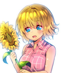 Rule 34 | 1girl, air (visual novel), alternate hair length, alternate hairstyle, bare arms, blonde hair, blue eyes, blurry, blush, breasts, chinese commentary, collared shirt, commentary request, depth of field, eyelashes, eyes visible through hair, flower, hair between eyes, holding, holding flower, kamio misuzu, large breasts, lliissaawwuu2, looking at flowers, open mouth, pink shirt, plaid, plaid shirt, shirt, short hair, simple background, sleeveless, sleeveless shirt, smile, solo, sunflower, upper body, white background