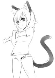 Rule 34 | animal ears, cat ears, cat girl, cat tail, highres, nathy, oversized clothes, oversized shirt, panties, paw print, paw print pattern, shirt, short hair, sketch, stretching, tail, underwear
