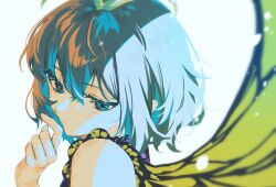 Rule 34 | 1girl, aqua hair, blue eyes, butterfly wings, closed mouth, eternity larva, fairy, hair between eyes, highres, insect wings, maguri rei, one-hour drawing challenge, portrait, short hair, simple background, solo, touhou, white background, wings