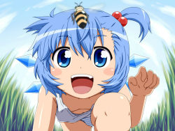 Rule 34 | 1girl, :d, alternate hairstyle, bee, blue eyes, blue hair, blush stickers, bug, child, cirno, downblouse, extended downblouse, grass, hair bobbles, hair ornament, ice, ice wings, insect, matching hair/eyes, open mouth, panties, shirosato, side ponytail, smile, solo, striped clothes, striped panties, touhou, underwear, wings