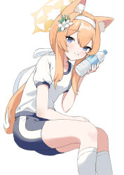 Rule 34 | 1girl, absurdres, animal ear fluff, animal ears, blue archive, blue eyes, blue shorts, bottle, feet out of frame, flower, grin, gym uniform, hair flower, hair ornament, hair ribbon, hairband, halo, haruumi301, highres, holding, holding bottle, invisible chair, kneehighs, long hair, looking at viewer, mari (blue archive), mari (track) (blue archive), orange hair, ponytail, ribbon, shirt, short sleeves, shorts, simple background, sitting, smile, socks, solo, sportswear, water bottle, white background, white hairband, white ribbon, white shirt, white socks