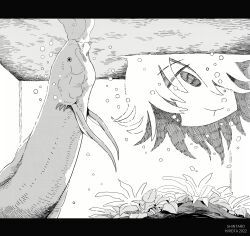 Rule 34 | 1girl, air bubble, aremoyou, artist name, bubble, closed mouth, commentary request, dated, fish, fish request, fish tank, floating hair, from side, greyscale, hatching (texture), highres, holding breath, letterboxed, looking at viewer, looking to the side, monochrome, original, plant, profile, reflection, reflective water, short hair, solo, underwater