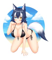 Rule 34 | 10s, 1girl, all fours, animal ears, bad id, bad pixiv id, bare legs, bare shoulders, bikini, black bikini, black hair, blue eyes, blush, breasts, cleavage, collarbone, commentary, english commentary, front-tie bikini top, front-tie top, grey wolf (kemono friends), hair between eyes, hand up, heterochromia, highres, kemono friends, keshigomu, large breasts, looking at viewer, multicolored hair, paw pose, side-tie bikini bottom, smile, solo, swimsuit, tail, two-tone hair, white hair, wolf ears, wolf tail, yellow eyes