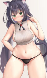 Rule 34 | 1girl, animal ear fluff, animal ears, arm behind back, bare arms, bare shoulders, black hair, black panties, blush, breasts, cat ears, cat girl, cat tail, closed mouth, cowboy shot, crop top, cropped sweater, curvy, gluteal fold, green eyes, grey background, hair between eyes, hand up, highres, index finger raised, jewelry, karyl (princess connect!), leaning to the side, legs apart, long hair, looking at viewer, medium breasts, midriff, multicolored hair, navel, neck ribbon, no bra, no pants, panties, pendant, pointing, pointing at self, princess connect!, ribbed sweater, ribbon, sideboob, sideless outfit, simple background, sleeveless, sleeveless sweater, solo, standing, straight-on, streaked hair, string panties, sweater, tail, takenoko pengin, thick thighs, thighs, twintails, underwear, v-shaped eyebrows, very long hair, white hair, wide hips