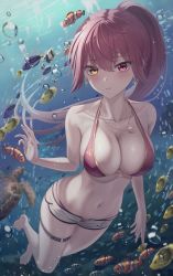 Rule 34 | 1girl, bare arms, bare shoulders, barefoot, bikini, breasts, cleavage, clownfish, collarbone, earrings, fish, floating hair, freediving, halterneck, highres, hololive, houshou marine, houshou marine (summer), jewelry, large breasts, long hair, looking at viewer, marinesnow, micro shorts, navel, necklace, o-ring, o-ring thigh strap, parted lips, ponytail, red bikini, red eyes, red hair, shorts, solo, stomach, swimming, swimsuit, thigh strap, turtle, underwater, virtual youtuber, water, white shorts, yellow eyes