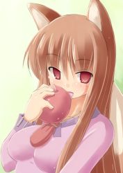 Rule 34 | 00s, 1girl, animal ears, apple, brown hair, food, fruit, holo, kourourin, red eyes, solo, spice and wolf, tail, wolf ears, wolf tail