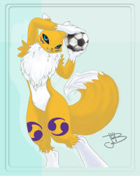 Rule 34 | ball, digimon, digimon (creature), fox girl, furry, highres, renamon, soccer ball, tail