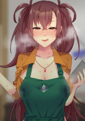 Rule 34 | 1girl, apron, breasts, brown hair, dr. arach, iced latte with breast milk (meme), lactation, lactation through clothes, large breasts, long hair, meme, solo, sweat, tsukihime, tsukihime (remake)