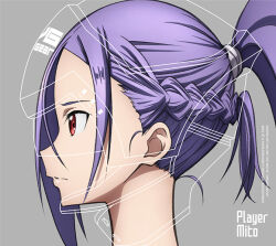 Rule 34 | braid, high ponytail, long hair, mito (sao), non-web source, official art, red eyes, solo, sword art online