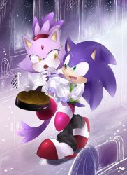 Rule 34 | blaze the cat, cat, couple, fang, furry, furry female, furry male, furry with furry, hedgehog, married, slippers, sonic (series), sonic the hedgehog