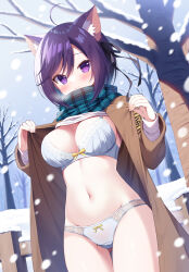 Rule 34 | 1girl, animal ears, armband, bare tree, blue scarf, blush, bow, bow bra, bow panties, bra, breasts, breath, brown coat, cat ears, closed mouth, clothes lift, coat, commentary request, fence, groin, hair between eyes, hands up, large breasts, long sleeves, looking at viewer, mauve, navel, open clothes, open coat, original, outdoors, panties, plaid, plaid scarf, purple eyes, purple hair, scarf, smile, snow, snowing, solo, sweater, sweater lift, tree, underwear, white bra, white panties, white sweater