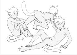 Rule 34 | 1boy, animal ears, ass, cat boy, cat ears, cat tail, draugnut, full body, greyscale, highres, male focus, monochrome, nude, original, penis, simple background, smile, solo, tail, testicles, white background