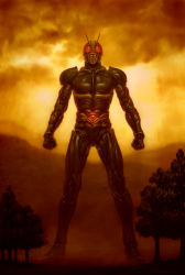 Rule 34 | 1boy, antennae, bodysuit, clenched hands, evening, fighting stance, giant, kamen rider, kamen rider j, katou yuu, looking at viewer, male focus, md5 mismatch, muscular, outdoors, plant, skin tight, solo, sunset, tree