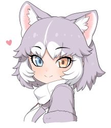 Rule 34 | 1girl, animal ears, blue eyes, commentary request, dog (mixed breed) (kemono friends), dog ears, fur-trimmed sleeves, fur trim, grey hair, heart, heterochromia, kemono friends, looking at viewer, medium hair, multicolored hair, ransusan, short sleeves, simple background, smile, solo, two-tone hair, upper body, white background, white hair, yellow eyes