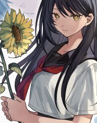 Rule 34 | 1girl, aoi (yooo009), black hair, black sailor collar, breasts, closed mouth, collarbone, crop top, flower, highres, holding, holding flower, light smile, long hair, looking at viewer, neckerchief, non-web source, original, red neckerchief, sailor collar, school uniform, serafuku, short sleeves, solo, sunflower, upper body, yellow eyes, yellow flower