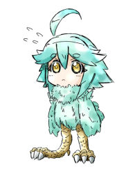 Rule 34 | 10s, 1girl, aged down, ahoge, blue hair, blue wings, feathered wings, flying sweatdrops, full body, hair between eyes, harpy, monster girl, monster musume no iru nichijou, papi (monster musume), s-now, simple background, solo, standing, talons, white background, winged arms, wings, yellow eyes