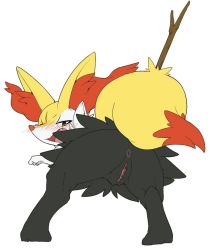Rule 34 | 1girl, animal ears, animal hands, anus, ass, bent over, blush, braixen, clitoris, creatures (company), fang, feet, fox ears, fox tail, from behind, furry, furry female, game freak, gen 6 pokemon, half-closed eyes, jpeg artifacts, kimubota, looking back, nintendo, no humans, open mouth, pokemon, pokemon (creature), pokemon xy, presenting, pussy, red eyes, simple background, solo, spread legs, standing, tail, uncensored, wavy mouth, white background