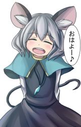 Rule 34 | 1girl, alvis (artist), animal ears, blush, capelet, closed eyes, grey hair, jaguji (jaguzzi), jewelry, long sleeves, mouse ears, mouse tail, nazrin, open mouth, pendant, short hair, simple background, smile, solo, tail, touhou, translated, white background