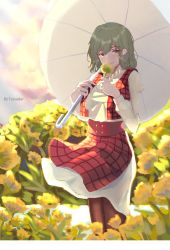 Rule 34 | 1girl, absurdres, adapted costume, artist name, backlighting, blush, brown pantyhose, clothes lift, cloud, colored eyelashes, cowboy shot, day, dress, eyes visible through hair, field, flower, flower field, flower to mouth, green hair, highres, holding, holding flower, holding umbrella, kazami yuuka, light rays, long sleeves, looking at viewer, open clothes, open vest, pantyhose, parasol, plaid, plaid skirt, plaid vest, red eyes, red pupils, red skirt, red vest, side slit, sidelocks, skirt, skirt lift, smile, solo, sunbeam, sunlight, tadie (innovation1998), touhou, umbrella, vest, wavy hair, white dress, wind