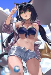 Rule 34 | 1girl, absurdres, animal ear fluff, animal ears, arm up, bare shoulders, bikini, black bikini, black hair, blush, breasts, cat ears, cat girl, cat tail, cleavage, cloud, cloudy sky, collarbone, day, eyewear on head, fang, feipin zhanshi, green eyes, hair between eyes, hair ribbon, highres, holding, holding swim ring, innertube, jacket, karyl (princess connect!), karyl (summer) (princess connect!), long hair, long sleeves, low twintails, medium breasts, multicolored hair, navel, off shoulder, open clothes, open fly, open jacket, open mouth, open shorts, outdoors, princess connect!, purple jacket, purple ribbon, ribbon, short shorts, shorts, sky, solo, stomach, streaked hair, sunglasses, sunglasses on head, swim ring, swimsuit, tail, twintails, very long hair, white-framed eyewear, white hair, white shorts