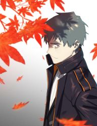 Rule 34 | 1boy, autumn leaves, bags under eyes, brown eyes, fate/grand order, fate (series), gradient background, grey hair, highres, ikezawa shin, long coat, looking to the side, male focus, saitou hajime (fate), smile, solo