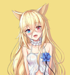 Rule 34 | 1girl, :d, animal ears, arms behind back, babydoll, bare shoulders, blonde hair, blue eyes, blue flower, blush, collarbone, commentary, fang, flower, g41 (girls&#039; frontline), girls&#039; frontline, hair between eyes, heterochromia, highres, ko katakuchiiwashi, long hair, looking at viewer, neck garter, open mouth, red eyes, skin fang, smile, solo, upper body, very long hair