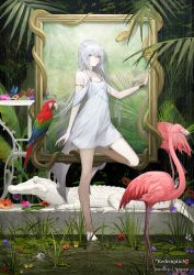 Rule 34 | 1girl, albino, album cover, animal, bare shoulders, bird, blue eyes, bracelet, breasts, bug, butterfly, choker, cinkai, closed mouth, collarbone, commentary request, cover, crocodile, crocodilian, dress, flamingo, flower, grass, hair between eyes, hair flower, hair ornament, heterochromia, highres, in water, insect, jewelry, long hair, looking at viewer, original, parrot, pink flower, plant, plant request, purple flower, rain, red eyes, red flower, short dress, sidelocks, silver hair, sleeveless, sleeveless dress, snake, solo, standing, standing on one leg, wading, water, white dress, white flower, yellow flower