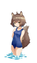 Rule 34 | 1girl, absurdres, animal ears, arknights, bare arms, bare shoulders, blue one-piece swimsuit, breasts, brown eyes, brown hair, collarbone, commentary request, hair between eyes, hand up, highres, old school swimsuit, one-piece swimsuit, qiu bi long, school swimsuit, shaw (arknights), simple background, small breasts, solo, squirrel ears, squirrel girl, squirrel tail, swimsuit, tail, wading, water, white background