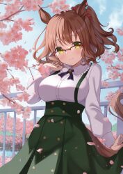 Rule 34 | 1girl, animal ears, aston machan (umamusume), breasts, brown hair, casual, cherry blossoms, commentary, glasses, green eyes, green skirt, hair ornament, hair scrunchie, highres, horse ears, horse girl, horse tail, kurumi lm, large breasts, long skirt, long sleeves, looking at viewer, ponytail, red-framed eyewear, red scrunchie, scrunchie, semi-rimless eyewear, shirt, skirt, solo, tail, umamusume, white shirt