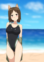 Rule 34 | 1girl, animal ears, bare shoulders, blush, breasts, brown eyes, brown hair, competition swimsuit, covered navel, dog ears, hachimitsu-b, kadomaru misa, looking at viewer, medium breasts, one-piece swimsuit, short hair, smile, solo, standing, strike witches, strike witches: katayoku no majo-tachi, swimsuit, world witches series